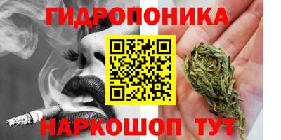 тгк Новозыбков