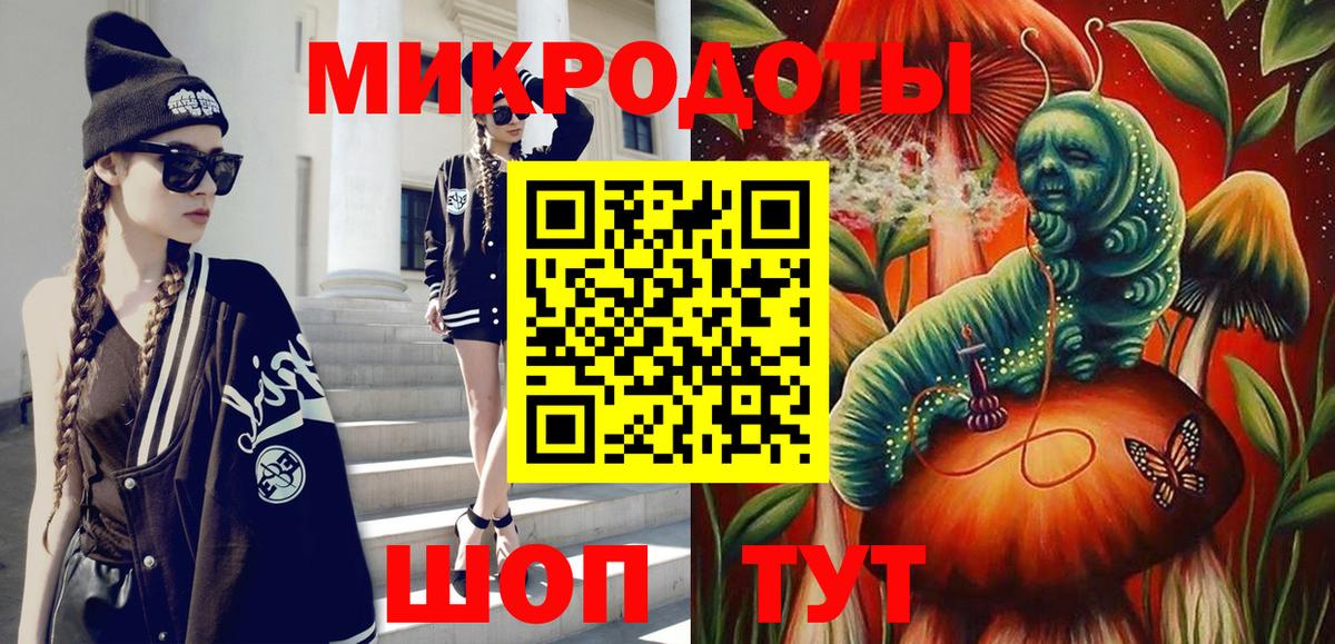 Псилоцибиновые грибы Psilocybe Саянск