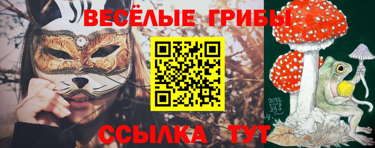 Псилоцибиновые грибы Psilocybe  Вход с VPN  Саянск 